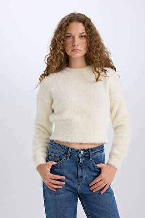 DeFacto Regular Fit Bisiklet Yaka Triko Kazak C6320AX24CWER100