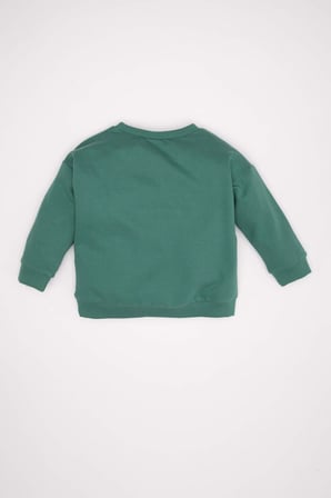 DeFacto Erkek Bebek Bisiklet Yaka Sweatshirt A7343A524AUGN754