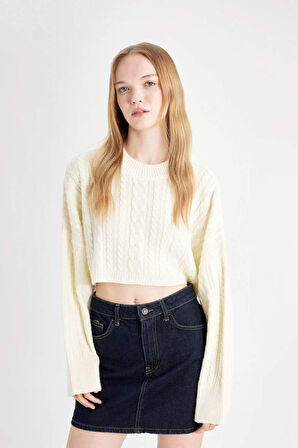 DeFacto Coool Regular Fit Crop Bisiklet Yaka Saç Örgülü Triko Kazak T4518AZ24WNER103