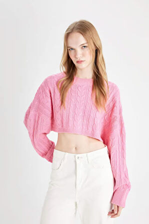 DeFacto Coool Regular Fit Crop Bisiklet Yaka Saç Örgülü Triko Kazak T4518AZ24WNPN450