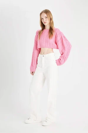 DeFacto Regular Fit Crop Bisiklet Yaka Saç Örgülü Triko Kazak T4518AZ24WNPN450