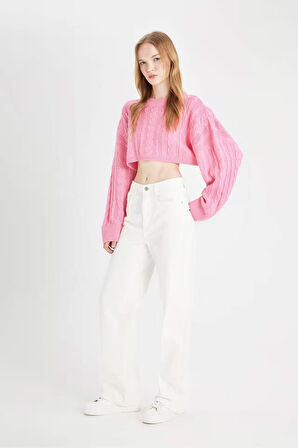 DeFacto Coool Regular Fit Crop Bisiklet Yaka Saç Örgülü Triko Kazak T4518AZ24WNPN450