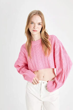 DeFacto Coool Regular Fit Crop Bisiklet Yaka Saç Örgülü Triko Kazak T4518AZ24WNPN450