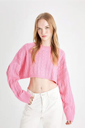 DeFacto Coool Regular Fit Crop Bisiklet Yaka Saç Örgülü Triko Kazak T4518AZ24WNPN450