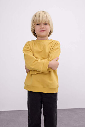 Erkek Bebek Bisiklet Yaka İçi Yumuşak Tüylü Basic Düz Sweatshirt