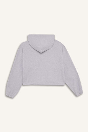 DeFacto Coool Loose Fit Basic Düz Kapüşonlu Fermuarlı Sweatshirt  E1464AX24WNGR210