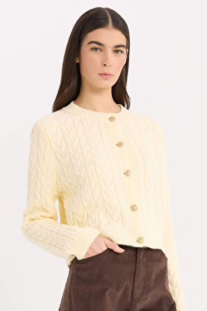 DeFacto Regular Fit Bisiklet Yaka Saç Örgülü Düğmeli Triko Hırka C9044AX24WNER109