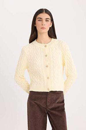 DeFacto Regular Fit Bisiklet Yaka Saç Örgülü Düğmeli Triko Hırka C9044AX24WNER109