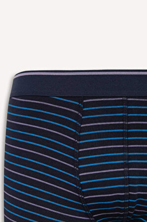 DeFacto Regular Fit Çizgili 3'lü Boxer D9876AX25SPNV135