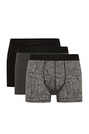 DeFacto Regular Fit 3'lü Boxer E0125AX24AUBK81