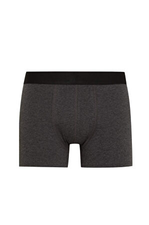 DeFacto Regular Fit 3'lü Boxer E0125AX24AUBK81