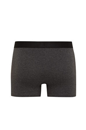 DeFacto Regular Fit 3'lü Boxer E0125AX24AUBK81