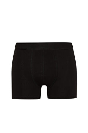 DeFacto Regular Fit 3'lü Boxer E0125AX24AUBK81