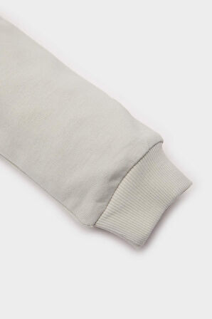 DeFacto Erkek Bebek Bisiklet Yaka Baskılı Sweatshirt E5936A525SPGR107