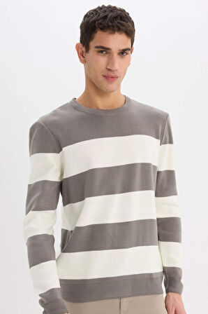 DeFacto Standart Fit Bisiklet Yaka Çizgili Triko Kazak D1968AX24AUGR308