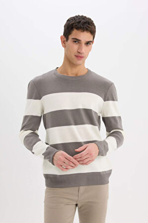 DeFacto Standart Fit Bisiklet Yaka Çizgili Triko Kazak D1968AX24AUGR308