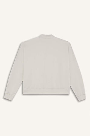 DeFacto Relax Fit Hakim Yaka Basic Düz Fermuarlı Soft Touch Sweatshirt E5817AX25SPBG350