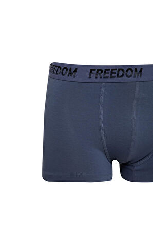 3'lü Boxer