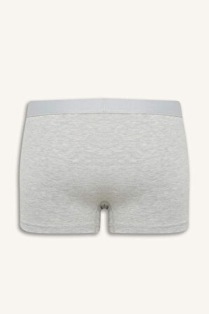 Erkek Regular Fit 3'lü Boxer