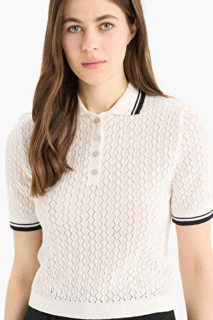 Regular Fit Polo Yaka Kısa Kollu Kazak