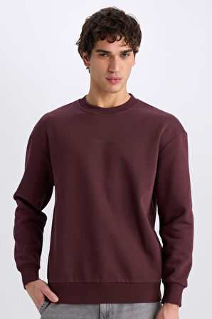 DeFacto Boxy Fit Bisiklet Yaka Baskılı Sweatshirt X8282AZ24AUBR150