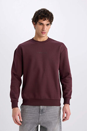 DeFacto Boxy Fit Bisiklet Yaka Baskılı Sweatshirt X8282AZ24AUBR150