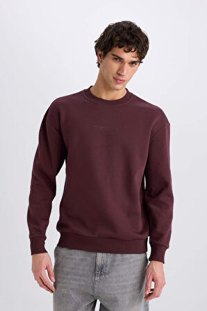 DeFacto Boxy Fit Bisiklet Yaka Baskılı Sweatshirt X8282AZ24AUBR150