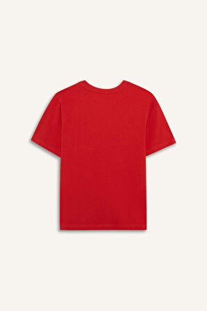 DeFacto Erkek Çocuk Bisiklet Yaka Baskılı Kısa Kollu Tişört E0170A825SMRD65