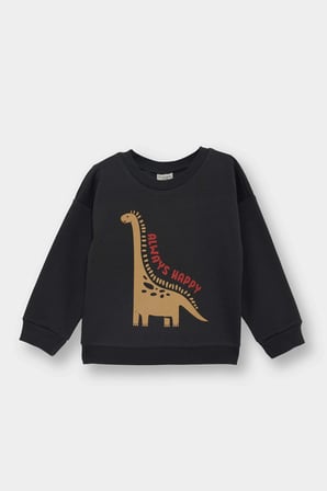 Defacto E9230A5AR1 Antrasit Erkek Bebek Bisiklet Yaka Dinozor Baskılı İçi Yumuşak Tüylü Sweatshirt