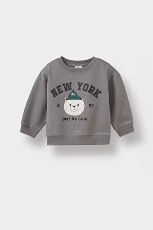 Erkek Bebek Hayvan Desenli İnce Sweatshirt Kumaşı 2'li Takım