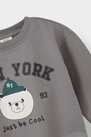 Erkek Bebek Hayvan Desenli İnce Sweatshirt Kumaşı 2'li Takım