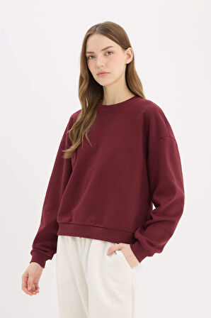DeFacto Regular Fit Bisiklet Yaka Kalın Basic Düz Sweatshirt D6645AX25SPBR248