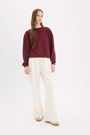 DeFacto Regular Fit Bisiklet Yaka Kalın Basic Düz Sweatshirt D6645AX25SPBR248