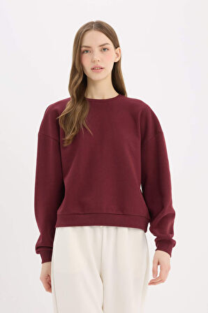 DeFacto Regular Fit Bisiklet Yaka Kalın Basic Düz Sweatshirt D6645AX25SPBR248