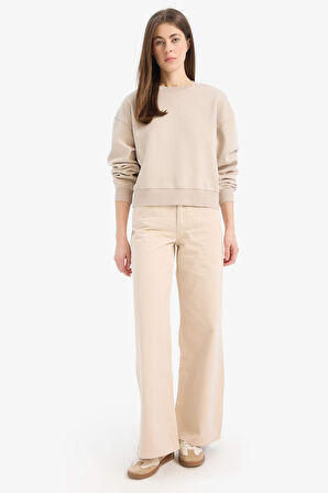 Boxy Fit Bisiklet Yaka Basic Düz Kalın Sweatshirt