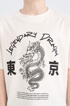 DeFacto Erkek Çocuk Bisiklet Yaka Baskılı Kısa Kollu Tişört D9277A825SMWT32