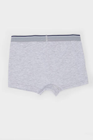 DeFacto Erkek Çocuk 3'lü Boxer E1579A824AUBE331