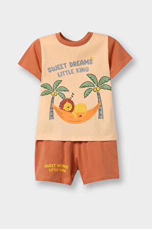 DeFacto Erkek Bebek Pijama Takımı Aslan Baskılı Kısa Kollu Penye Üst Esnek Belli Şort E1190A525HSOG327