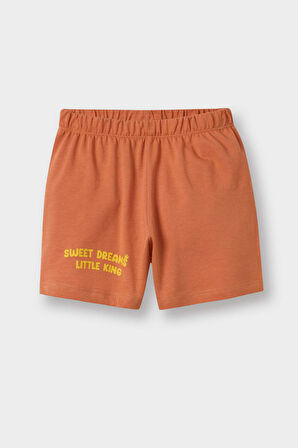 DeFacto Erkek Bebek Pijama Takımı Aslan Baskılı Kısa Kollu Penye Üst Esnek Belli Şort E1190A525HSOG327