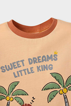 DeFacto Erkek Bebek Pijama Takımı Aslan Baskılı Kısa Kollu Penye Üst Esnek Belli Şort E1190A525HSOG327