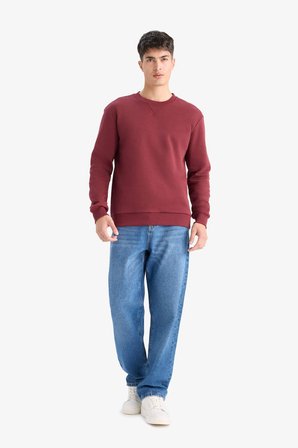 DeFacto Regular Fit Bisiklet Yaka Basic Düz Kalın Sweatshirt T3777AZ25AUBR194