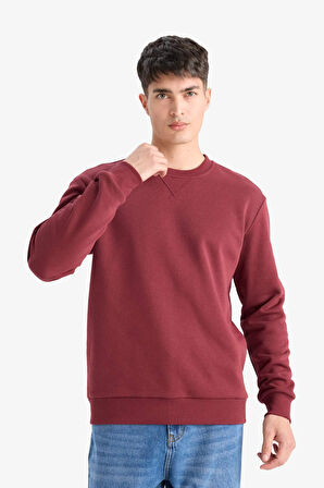 Regular Fit Bisiklet Yaka Basic Düz Kalın Sweatshirt