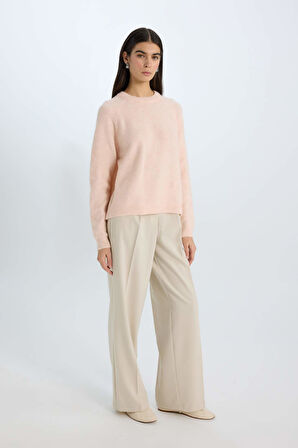 DeFacto Regular Fit Bisiklet Yaka Triko Kazak D0035AX24WNPN447