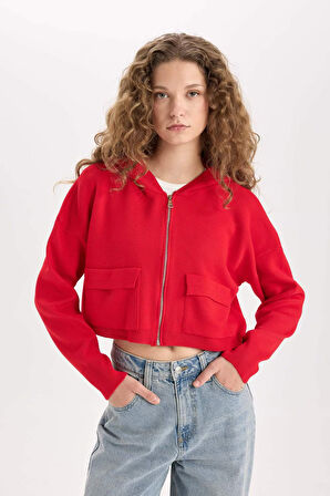 DeFacto Regular Fit Kapüşonlu Basic Düz Fermuarlı Triko Hırka E2270AXNSRD335