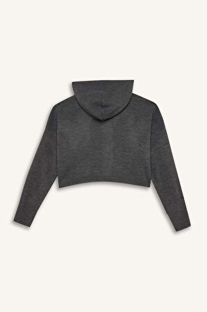 DeFacto Regular Fit Kapüşonlu Basic Düz Fermuarlı Triko Hırka E2270AXNSGR105