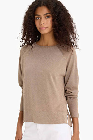 Regular Fit Bisiklet Yaka Triko Kazak