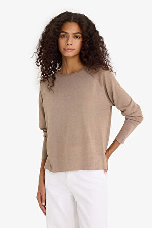 Regular Fit Bisiklet Yaka Triko Kazak