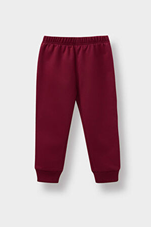 Kız Bebek 2'li Takım Baskılı İçi Yumuşak Tüylü Sweatshirt Eşofman Altı