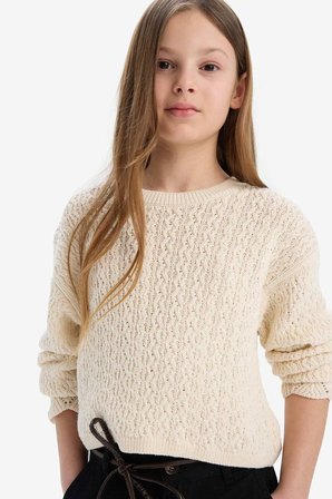 DeFacto Standart Fit Bisiklet Yaka Triko Kazak Kız Çocuk D9217A825SPER233