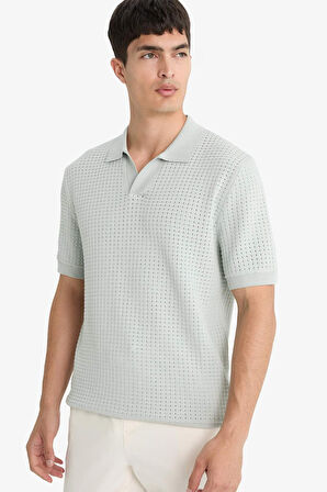 Standart Fit Polo Yaka Triko Kısa Kollu Tişört